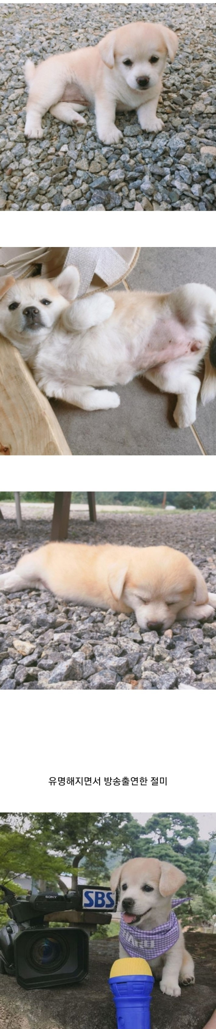 99909D4F5B961A2D050077