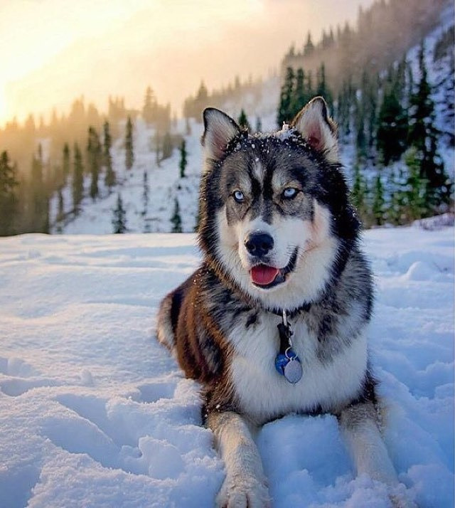 2469243556A8F46715E3CA