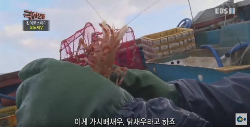 99AEFE3F5AD5388E21ECEA