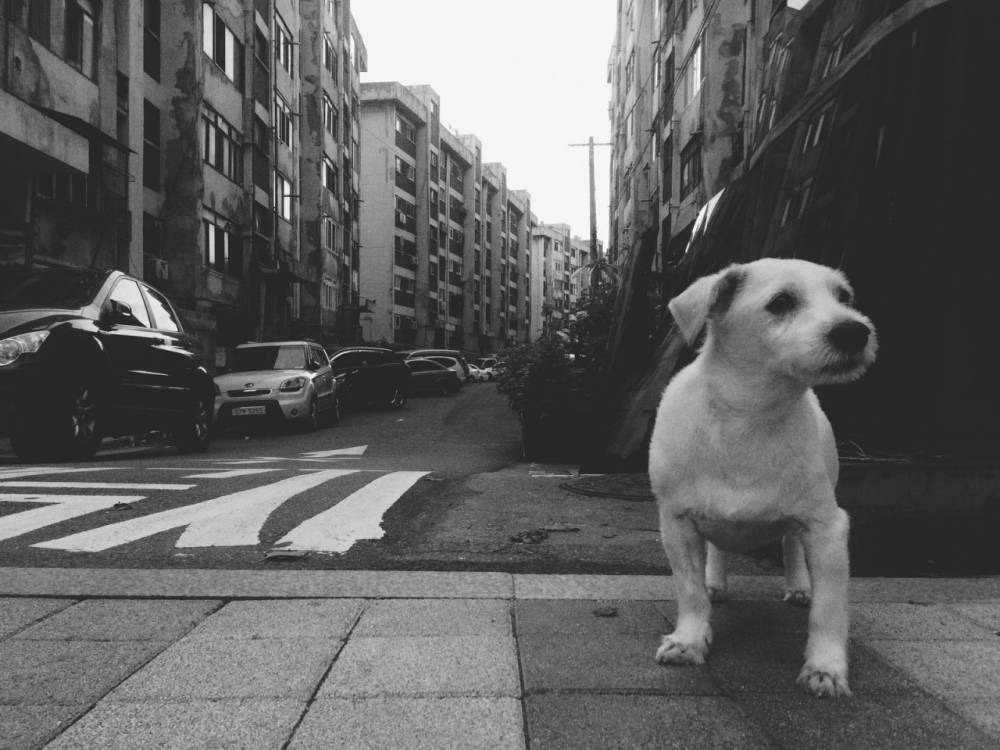 2453D74F56A84AB306EC25