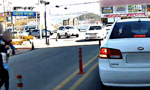 무단횡단하는 사람이 짐승만도 못한 이유 ㄷㄷㄷㄷ | 인스티즈