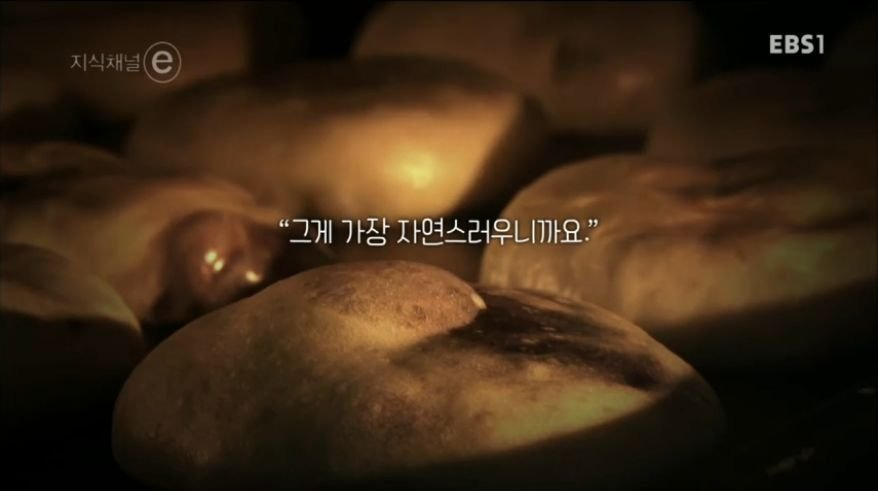 99E491445B244A22213C5C