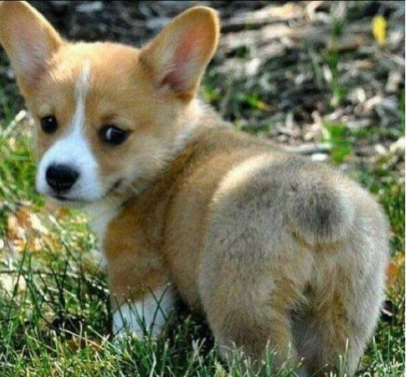 2529FA395747EC281A990E