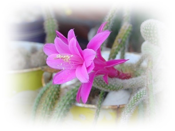 2726914356EB118D019A69