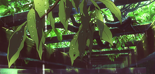 995CE5415AC9D4832BA454