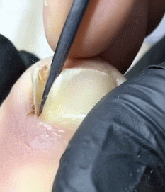 99FD663B5CD950333BC5B8