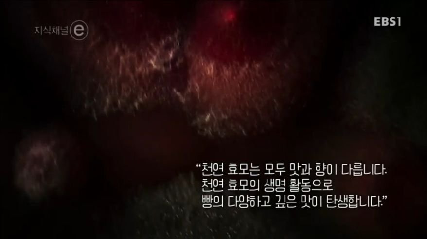 99063F425B244A1E30D0FF