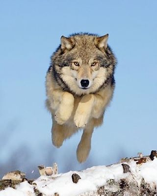 271EB23456A8F464153A83