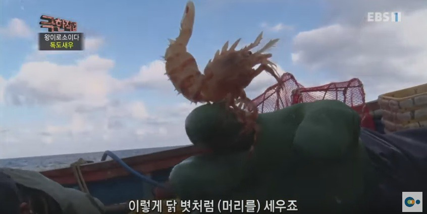 990C403F5AD5388E0F5BF5