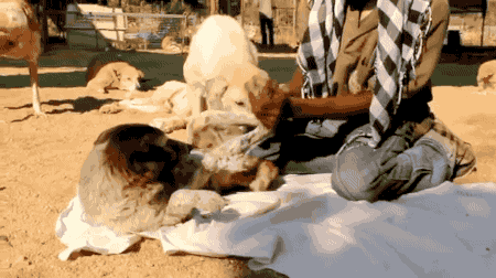 998C2B435B0331312FCC9E