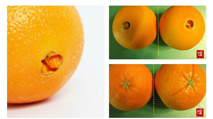 991A654C5AC9F97E0C9819