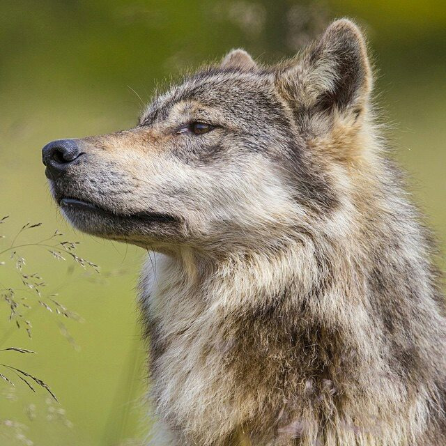 2137A73C56A8F4600B85A1