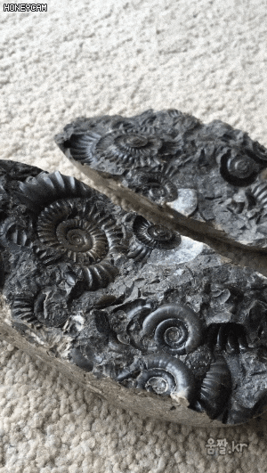 9936D5435AD507342EDED5