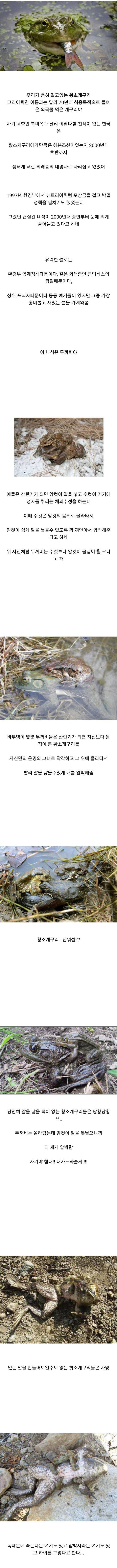 9948F43F5ABCD75B35043B