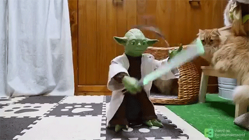 2635F24C569B91F4131BF0