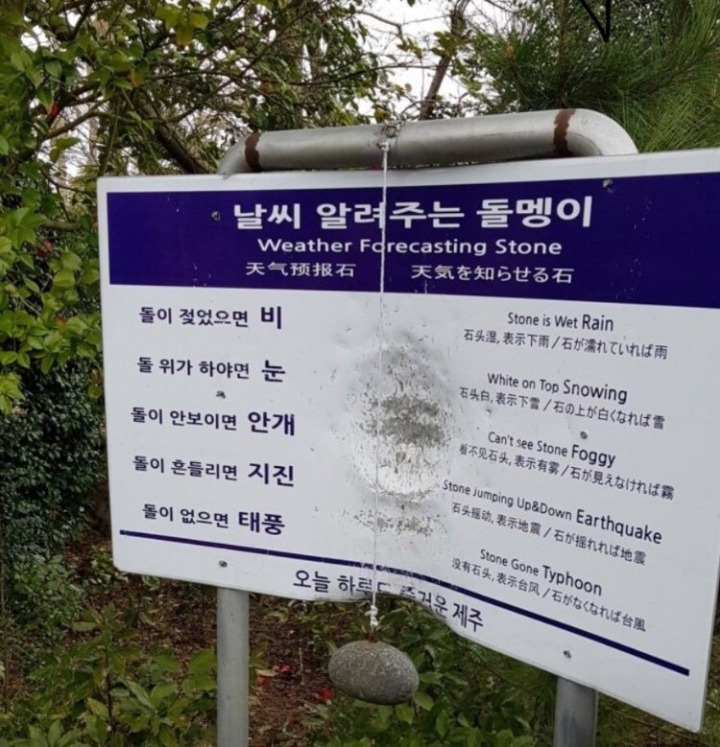 9963F2335B7F6DFC330686