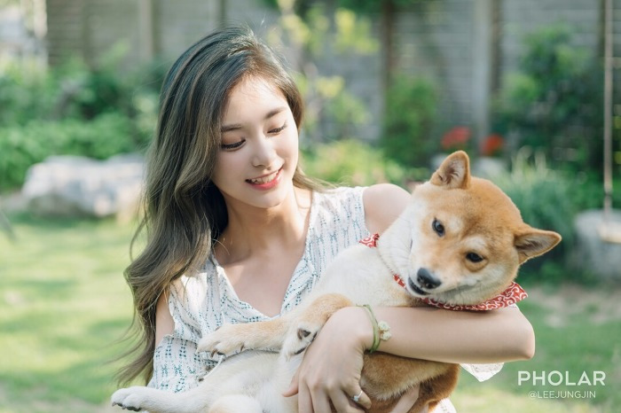 쯔 이미지