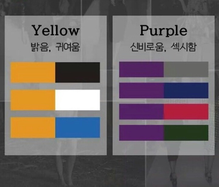 옷 코디시 알아야할 배색정보.JPG | 인스티즈