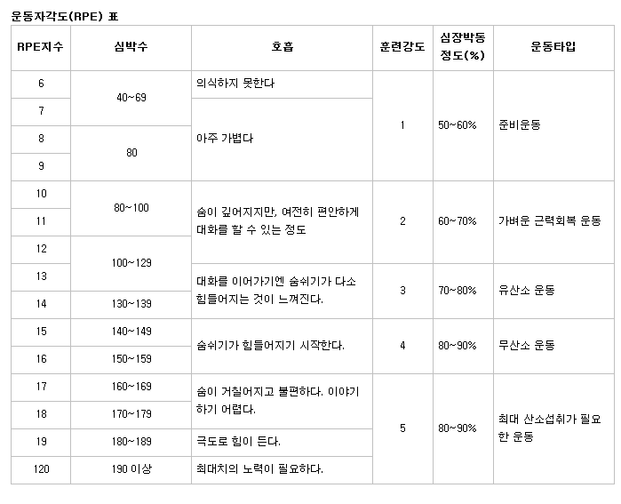 뱃살 빼는데 최고의 운동