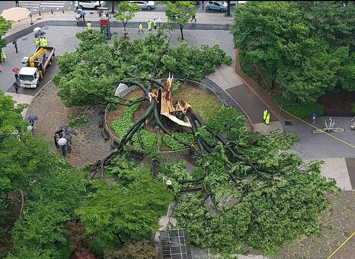 99973B415B31F1B92B4D0A