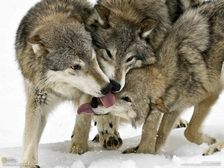 2613CA3656A8F46E0219E7