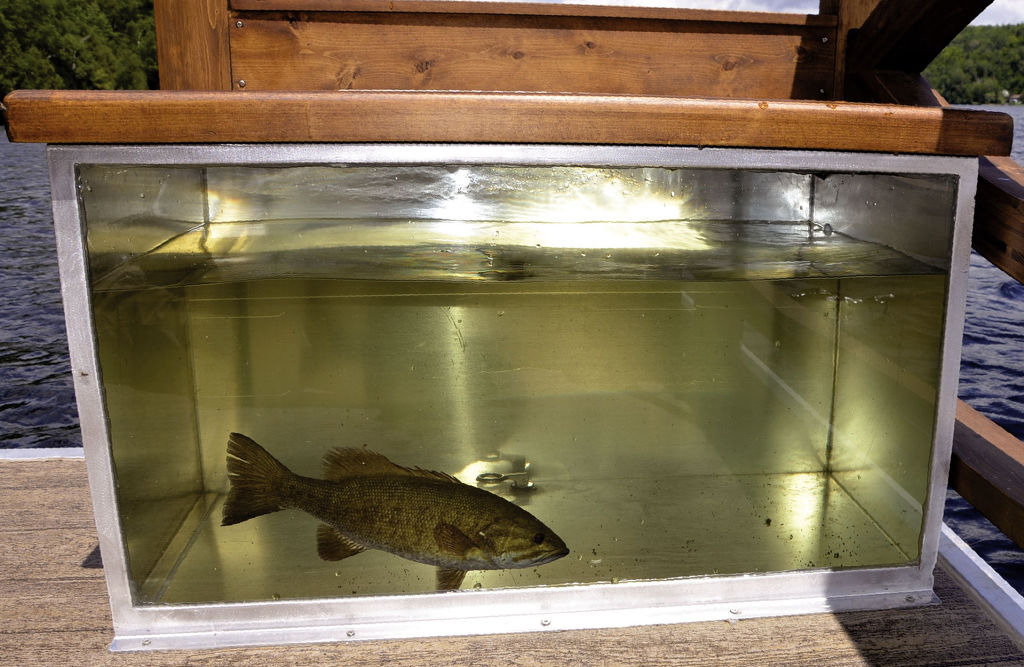 9923434A5B6E656A03B8D9