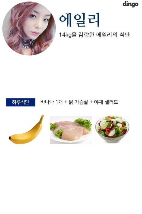 다이어트 대박난 여자 연예인 식단 | 인스티즈
