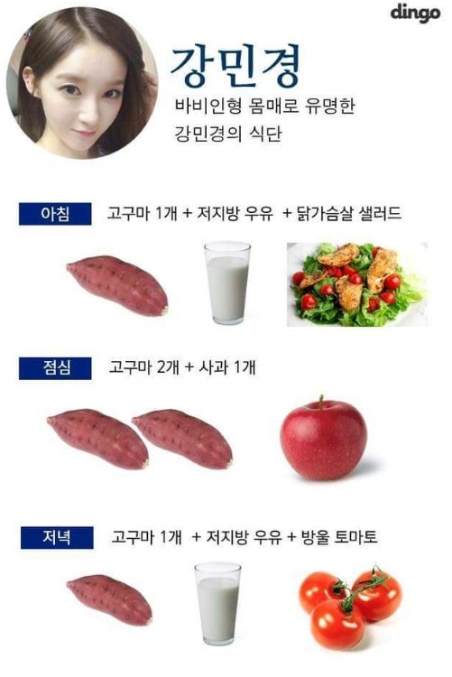 다이어트 대박난 여자 연예인 식단 | 인스티즈