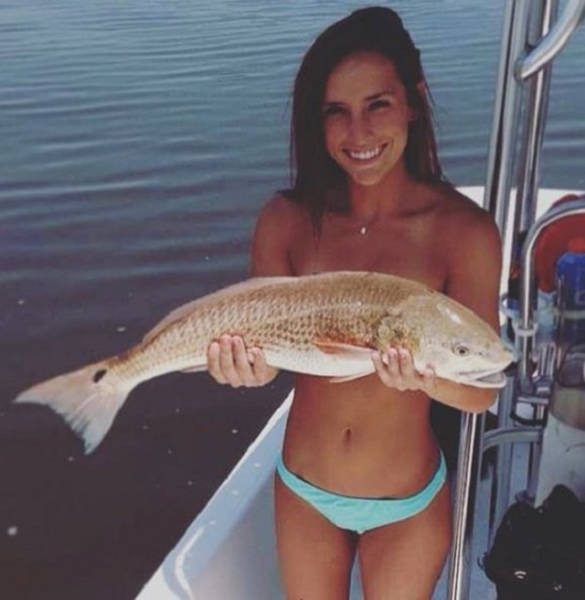 서양에서 유행하는 브라.jpg | 인스티즈