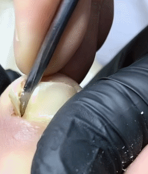 997419365CD950232FEF01