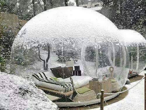 272B6F4B5539F31D2F8856