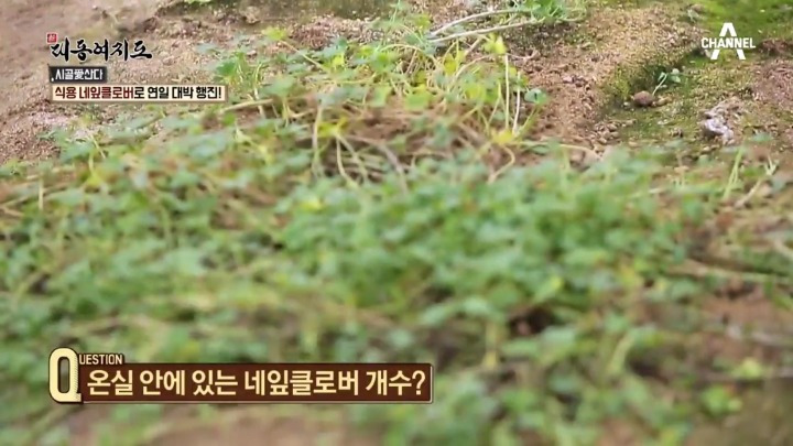 99AFCB385A9EBC8221DD16