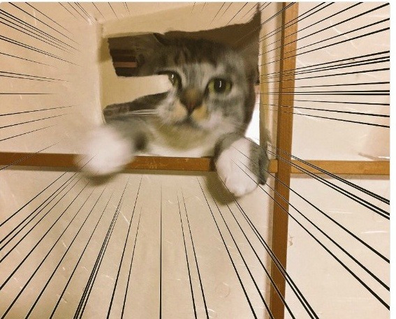 265B454C5959CD45201E1F