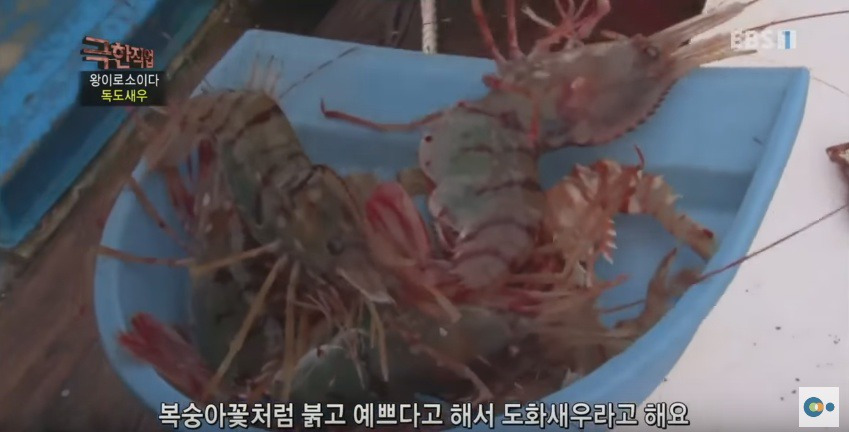 99E7293F5AD5388D11AE42