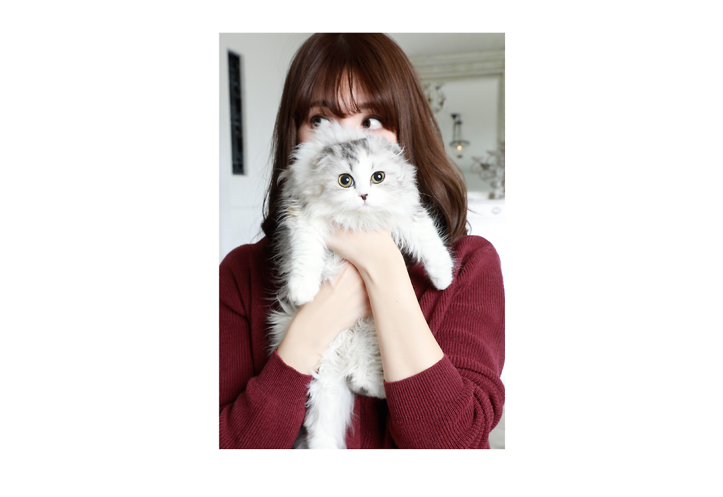 2314214C5860C4F115D869