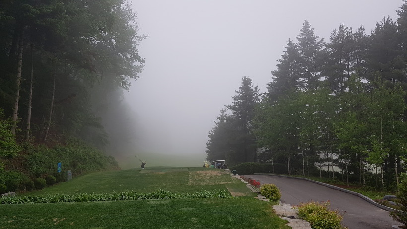 992935395AF9AB882AA9B7