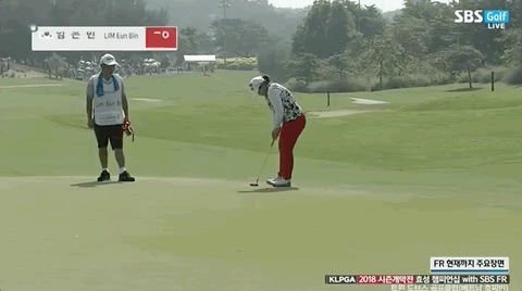 993D70335A2E1D18330DE5