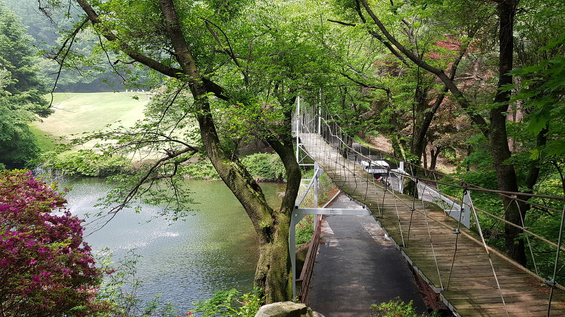 997FD3395AF9AB8B24ABCF