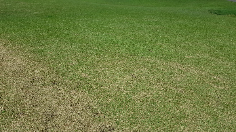 99975A395AF9AB8A221109