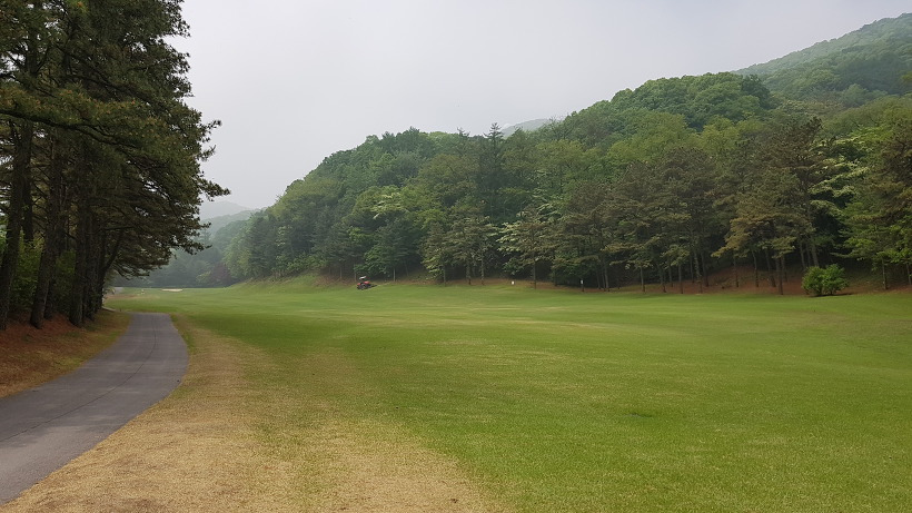 99F46E395AF9AB89060AF7