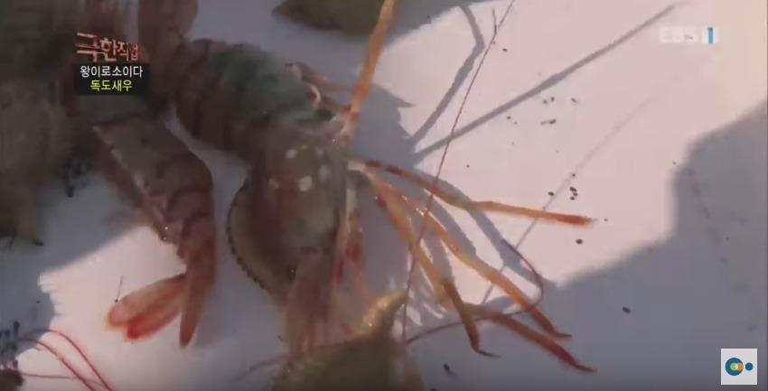 9966EB3F5AD5388D179163