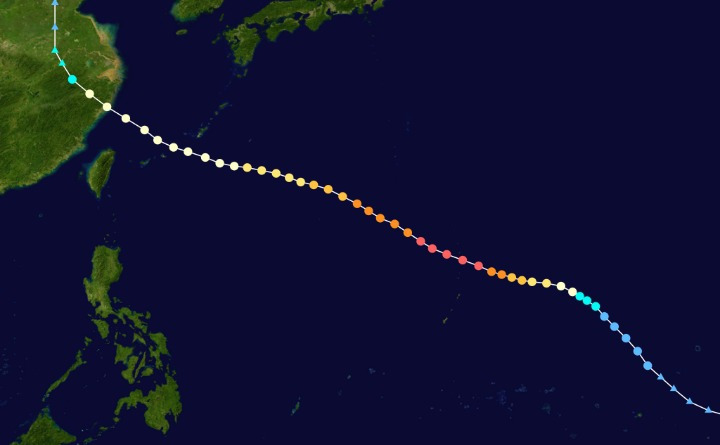 999F1E445B42E0A31E304E