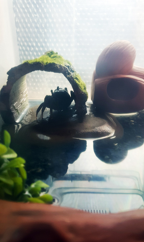 99DDDE505AC5FD7509B06C