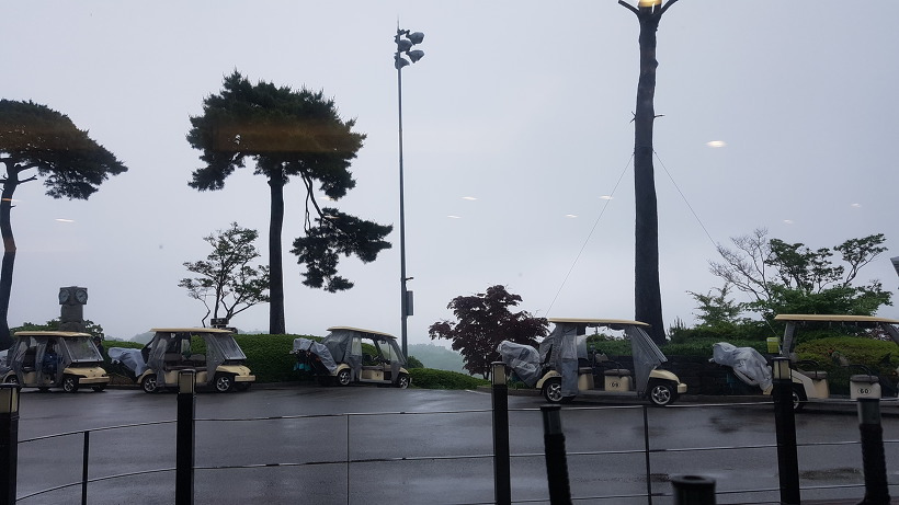 990E44455AFEEFFE0621A5