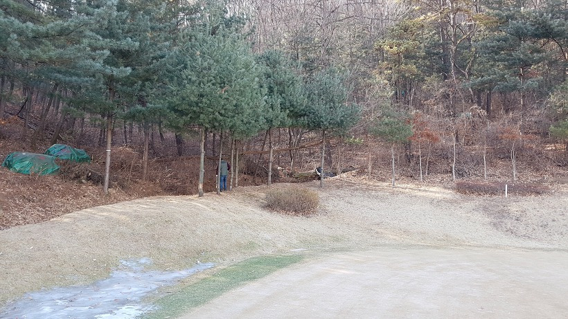 99B6293A5A9A4A0914762C