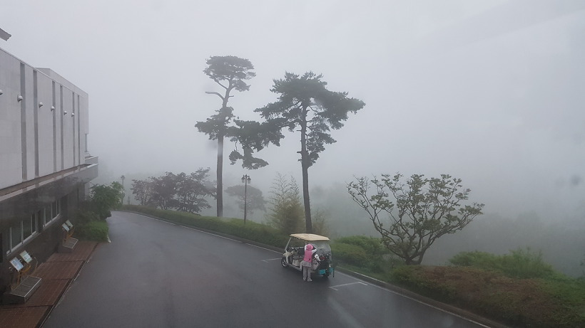 99D044455AFEEFFC1D7A9C