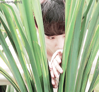 99C8433B5B095D1F13A680