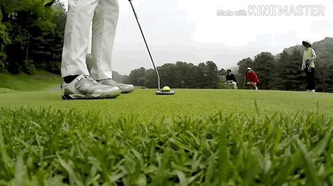 994EC34F5AF9AD591ECC88