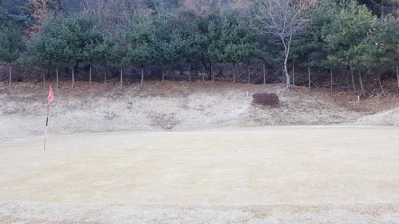 9945643D5A9A50A6250F83