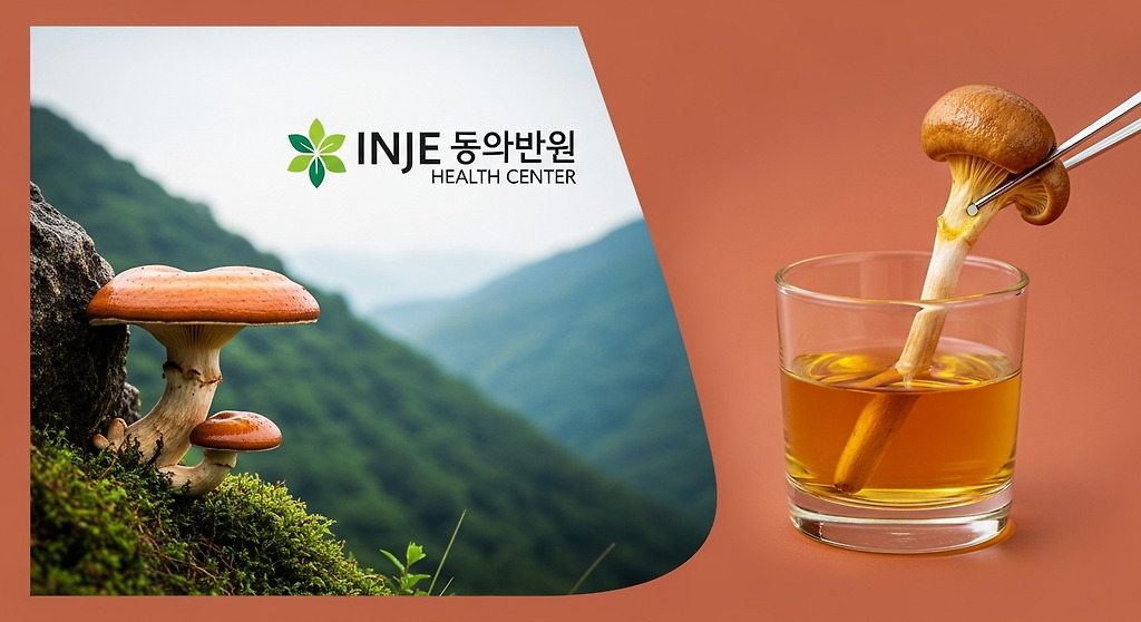 염증 잡는 기적의 식단: '항염증 식품'으로 건강 되찾기 완벽 가이드